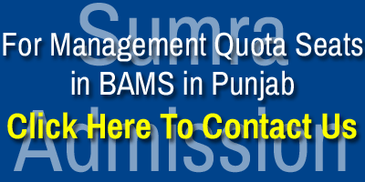 Punjab BAMS MAnagement Quota C